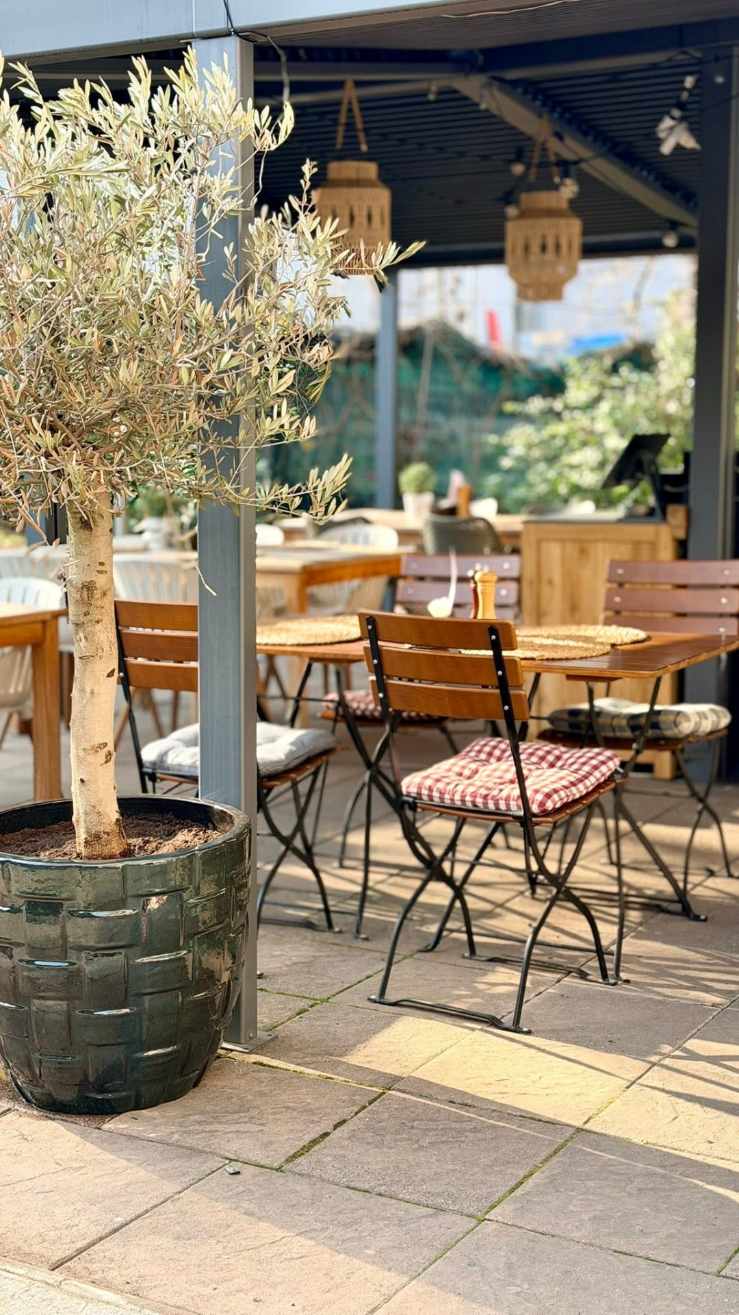 Terasa restaurace s olivovníkem a dřevěnými židlemi ve slunci